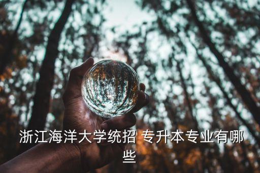 浙江專升本漢語(yǔ)言