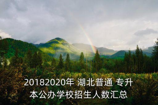 20182020年 湖北普通 專升本公辦學校招生人數(shù)匯總