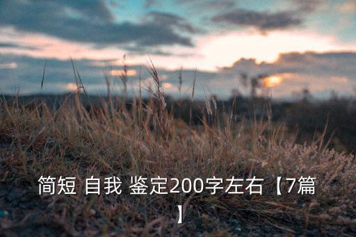 簡(jiǎn)短 自我 鑒定200字左右【7篇】