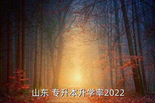  山東 專升本升學(xué)率2022