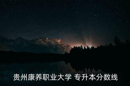  貴州康養(yǎng)職業(yè)大學(xué) 專升本分?jǐn)?shù)線