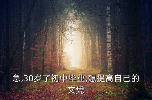 30歲去專升本,英語30分可以過專升本嗎