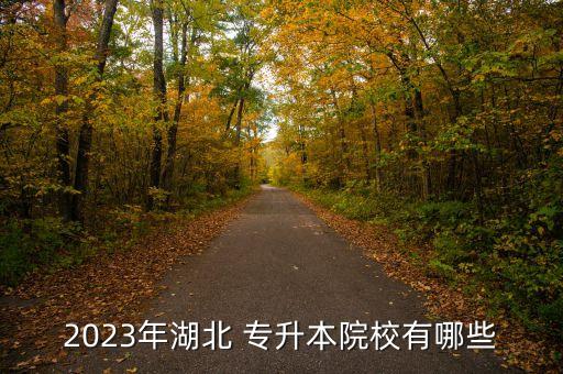 2023年湖北 專升本院校有哪些