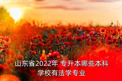  山東省2022年 專(zhuān)升本哪些本科 學(xué)校有法學(xué)專(zhuān)業(yè)