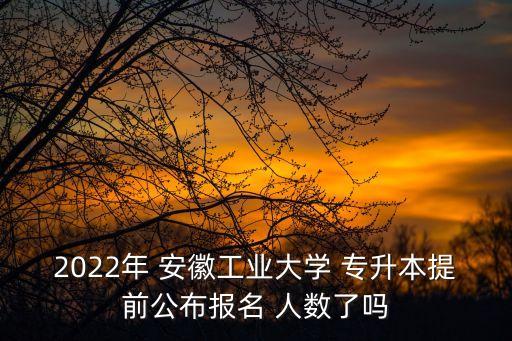 2022年 安徽工業(yè)大學(xué) 專升本提前公布報(bào)名 人數(shù)了嗎