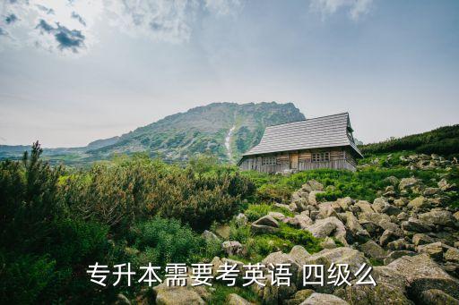 專升本詞匯背四級夠嗎,山東專升本英語單詞詞匯和四級相比