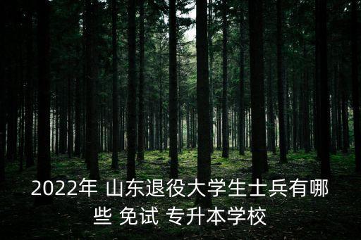 2022年 山東退役大學生士兵有哪些 免試 專升本學校