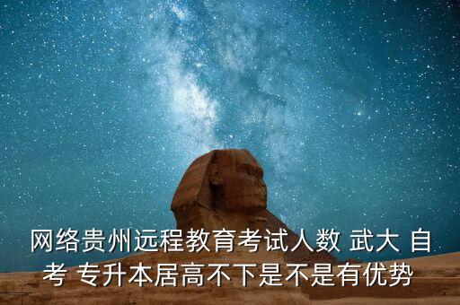 網(wǎng)絡貴州遠程教育考試人數(shù) 武大 自考 專升本居高不下是不是有優(yōu)勢