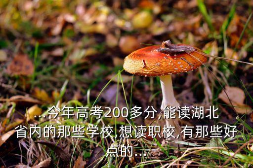 ...今年高考200多分,能讀湖北省內(nèi)的那些學校,想讀職校,有那些好點的...