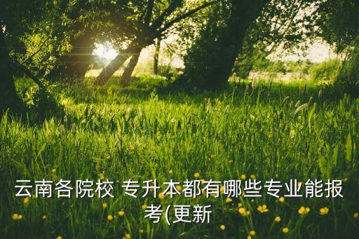 云南各院校 專升本都有哪些專業(yè)能報考(更新