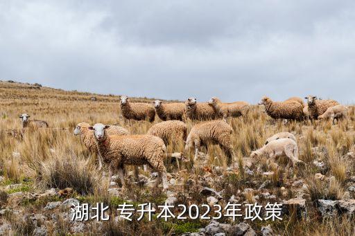 湖北省專升本考試大綱,2023年湖北專升本考試時間