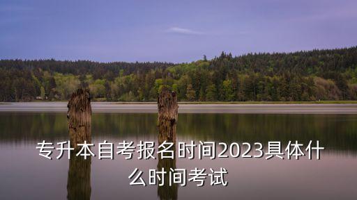  專升本自考報(bào)名時(shí)間2023具體什么時(shí)間考試