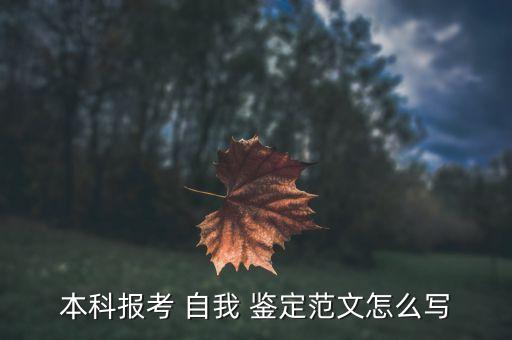 本科報考 自我 鑒定范文怎么寫