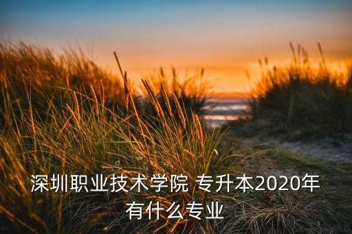 深圳職業(yè)技術(shù)學院 專升本2020年有什么專業(yè)