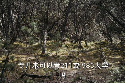  專升本可以考211或 985大學嗎