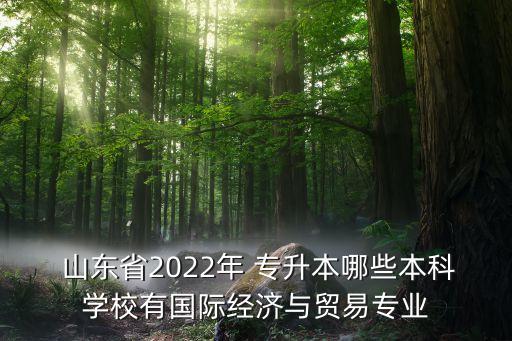  山東省2022年 專升本哪些本科學(xué)校有國際經(jīng)濟(jì)與貿(mào)易專業(yè)