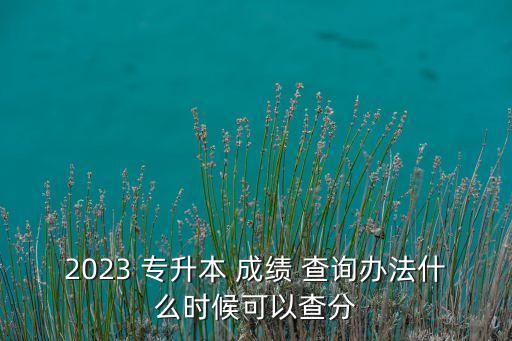 2023 專升本 成績(jī) 查詢辦法什么時(shí)候可以查分