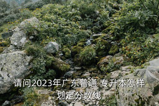 請問2023年廣東普通 專升本怎樣劃定分?jǐn)?shù)線