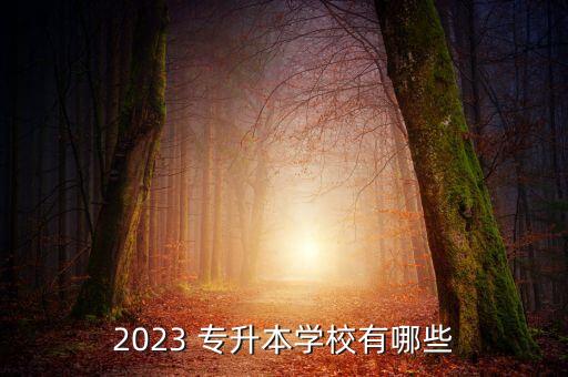 2023 專升本學(xué)校有哪些