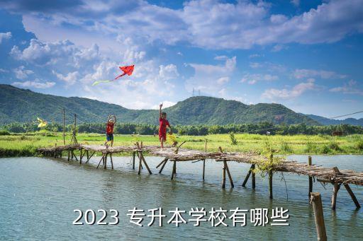 2023 專升本學(xué)校有哪些