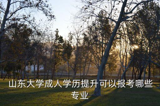  山東大學(xué)成人學(xué)歷提升可以報(bào)考哪些專業(yè)