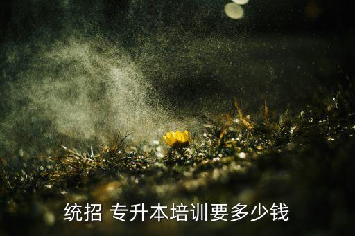 統(tǒng)招 專升本培訓(xùn)要多少錢