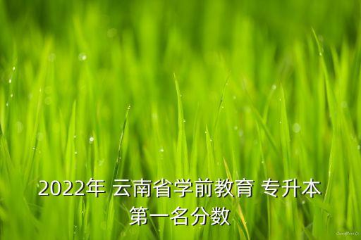 2022年 云南省學(xué)前教育 專(zhuān)升本第一名分?jǐn)?shù)