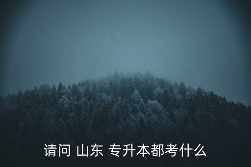 請(qǐng)問(wèn) 山東 專(zhuān)升本都考什么