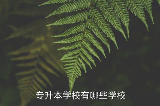 全國專升本的院校排名,專升本院校排名及錄取分?jǐn)?shù)線