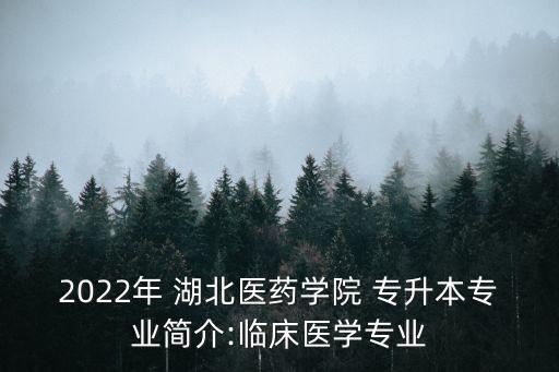 2022年 湖北醫(yī)藥學院 專升本專業(yè)簡介:臨床醫(yī)學專業(yè)