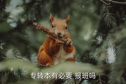 專轉(zhuǎn)本有必要 報班嗎