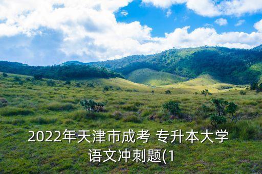 2022年天津市成考 專升本大學(xué) 語文沖刺題(1