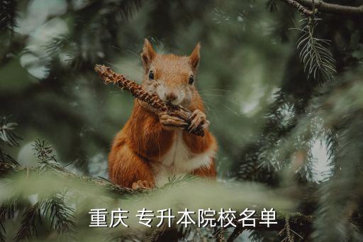  重慶 專升本院校名單