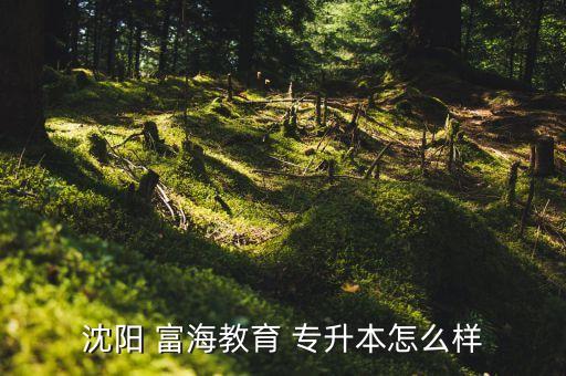 沈陽(yáng) 富海教育 專升本怎么樣