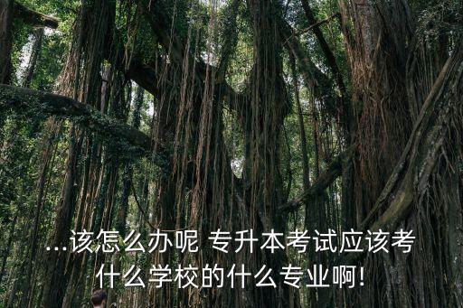 ...該怎么辦呢 專升本考試應(yīng)該考什么學(xué)校的什么專業(yè)啊!