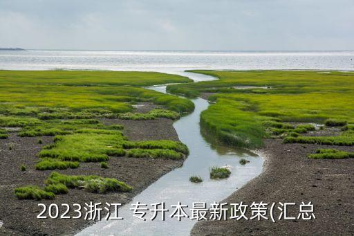 2023浙江 專升本最新政策(匯總