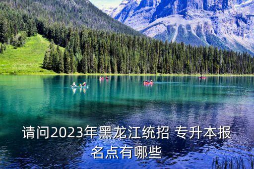 請(qǐng)問2023年黑龍江統(tǒng)招 專升本報(bào)名點(diǎn)有哪些