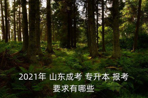 山東專升本金融報考條件,山東金融專升本學校有哪些