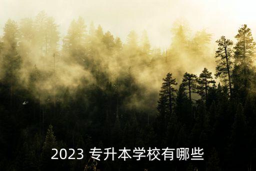 2023 專升本學(xué)校有哪些