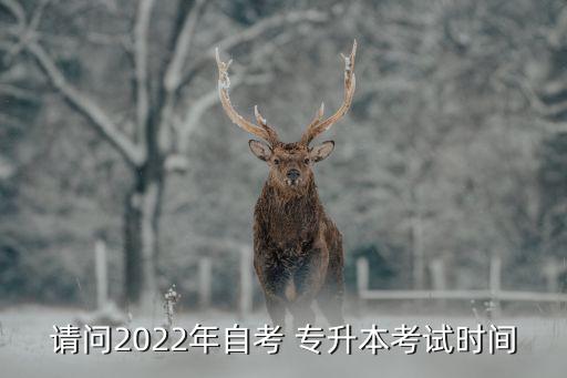 請問2022年自考 專升本考試時(shí)間