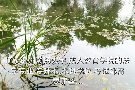 遼寧錦州渤海大學 成人教育學院的法學專業(yè) 專升本,本科學位 考試都需要哪些...