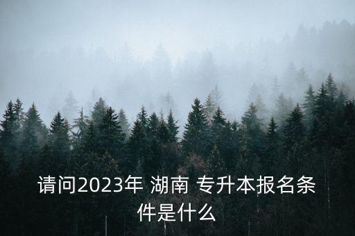 請問2023年 湖南 專升本報名條件是什么