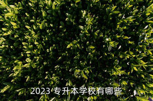 2023 專升本學校有哪些