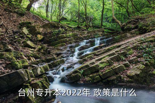 臺(tái)州專升本2022年 政策是什么