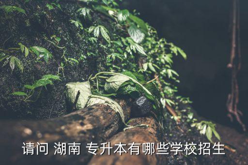 請問 湖南 專升本有哪些學校招生