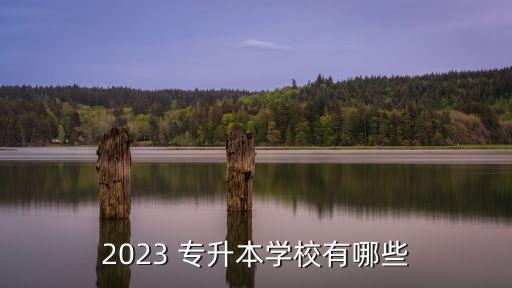 2023 專升本學(xué)校有哪些