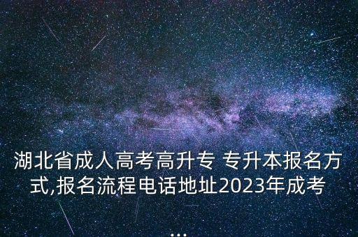 湖北省成人高考高升專 專升本報名方式,報名流程電話地址2023年成考...