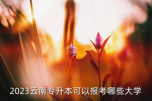 2023云南專升本可以報考哪些大學