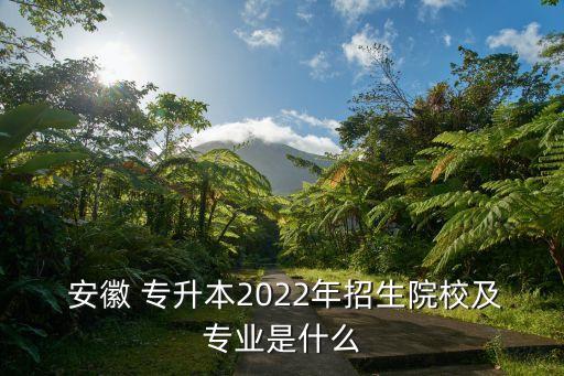  安徽 專升本2022年招生院校及專業(yè)是什么