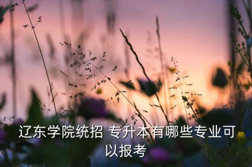  遼東學(xué)院統(tǒng)招 專升本有哪些專業(yè)可以報(bào)考